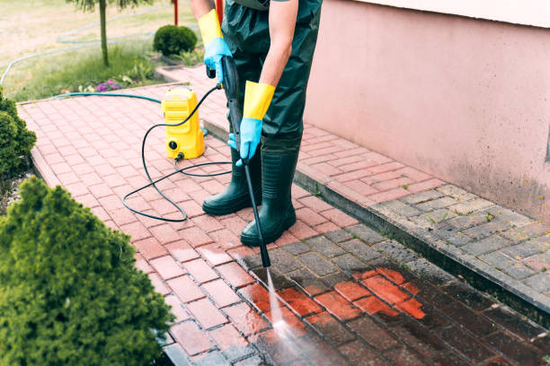 Best Animal Enclosure Cleaning  in Broxton, GA
